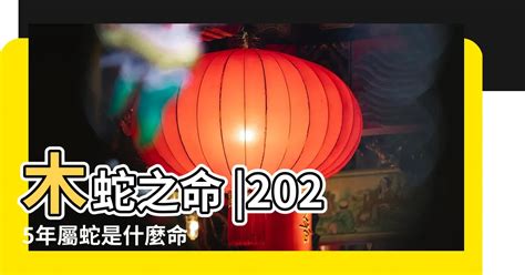 屬蛇適合的工作|2025年屬蛇的職業選擇有哪些？深入分析與建議